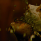 Decent mixture of live action and visual effects... the budget is decently used often in the film.